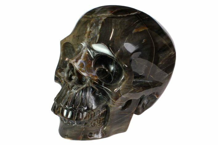 Realistic, Carved Petrified Wood Skull #116517
